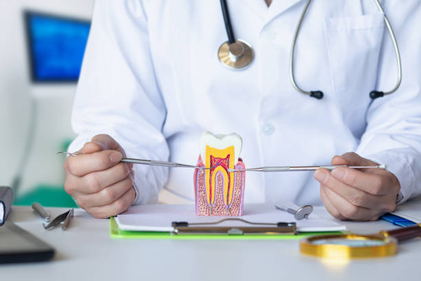 Best Emergency Cosmetic Dentistry in Oak Point, TX